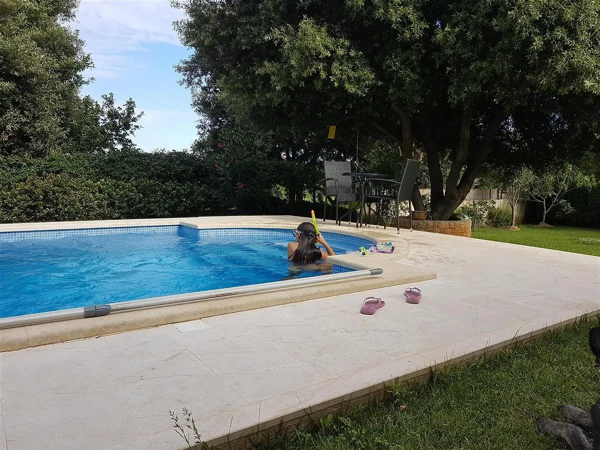 Apartment Teidi With Pool Ližnjan